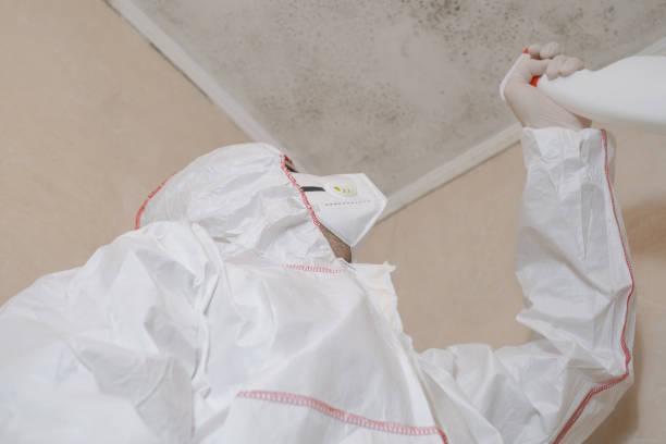 Best Mold Remediation for Specific Building Types in Everson, WA